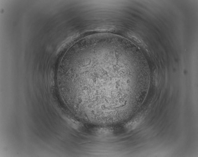 X0000065970303200603061156