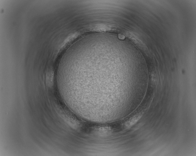 X0000065970304200603061156