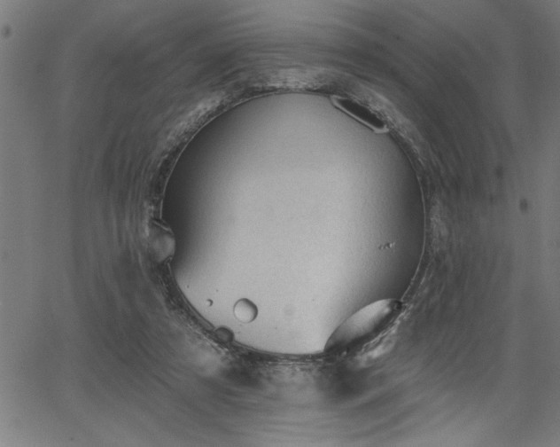 X0000065970305200603061156