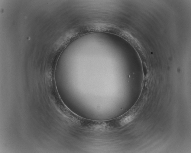 X0000065970306200603061156