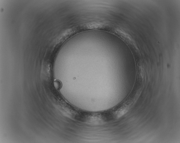 X0000065970308200603061156