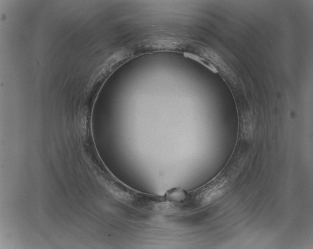 X0000065970309200603061156