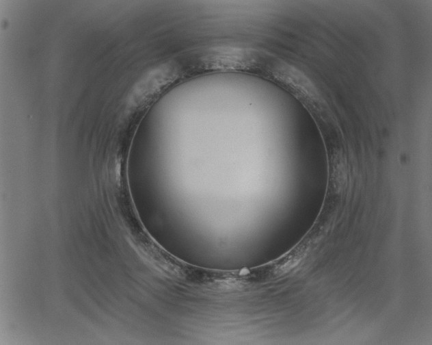 X0000065970310200603061156