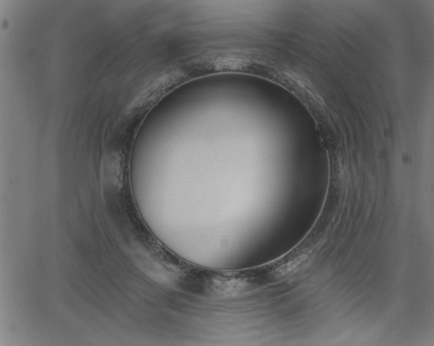 X0000065970311200603061156