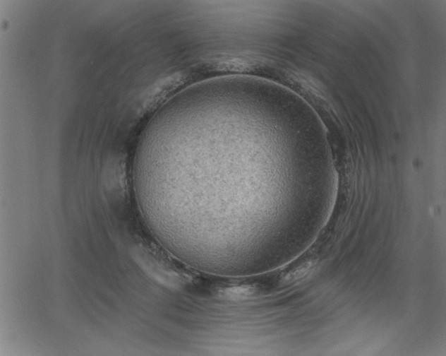 X0000065970312200603061156