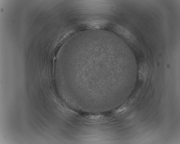 X0000065970314200603061156