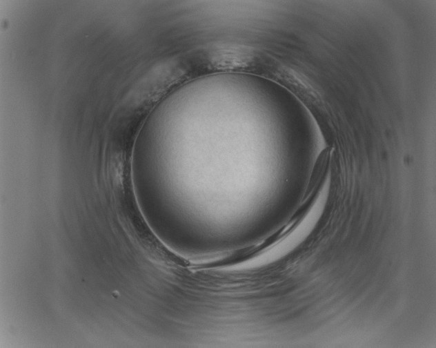 X0000065970315200603061156