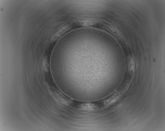 X0000065970316200603061156