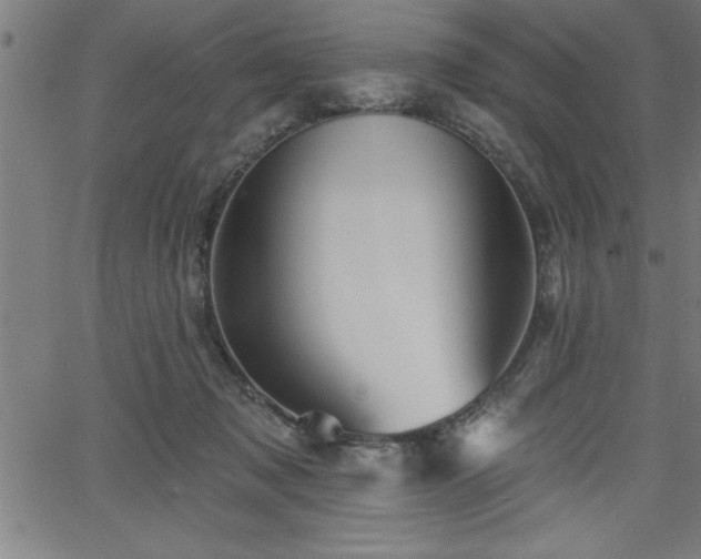 X0000065970317200603061156