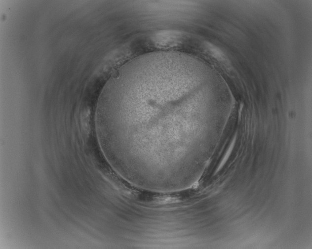 X0000065970319200603061156