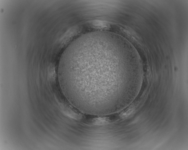 X0000065970320200603061156