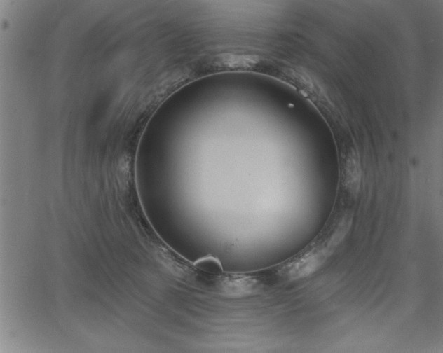 X0000065970321200603061156