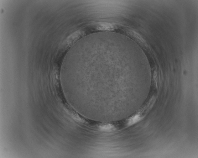 X0000065970322200603061156