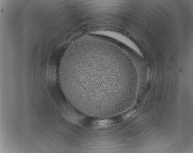 X0000065970323200603061156