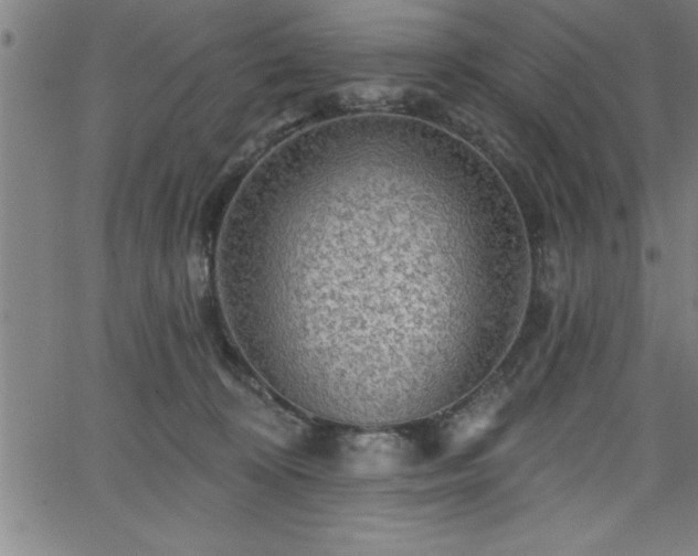 X0000065970324200603061156