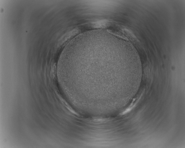 X0000065970325200603061156