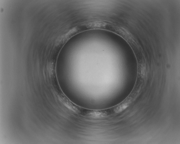 X0000065970326200603061156