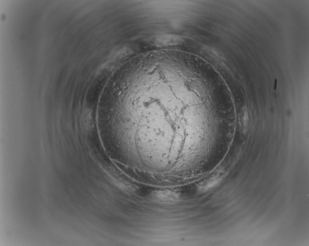 X0000065970327200603061156