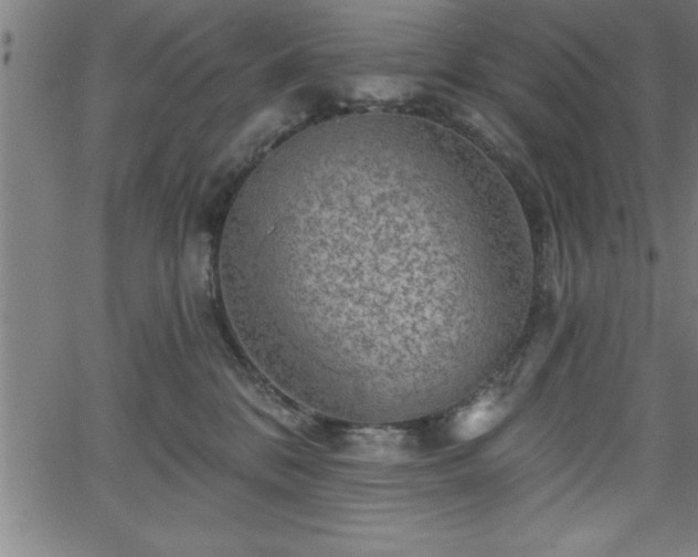 X0000065970328200603061156