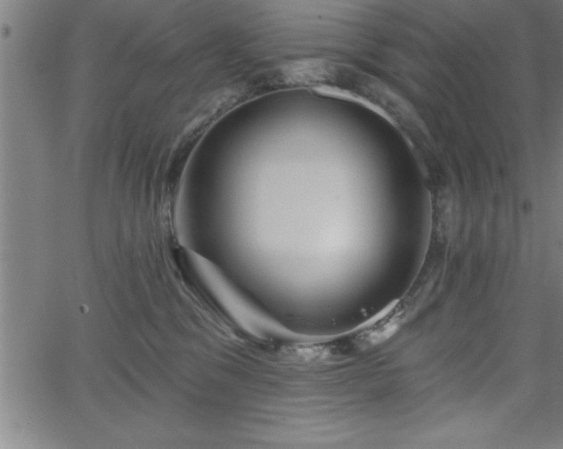 X0000065970329200603061156