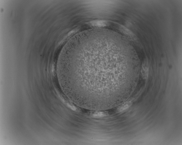 X0000065970330200603061156