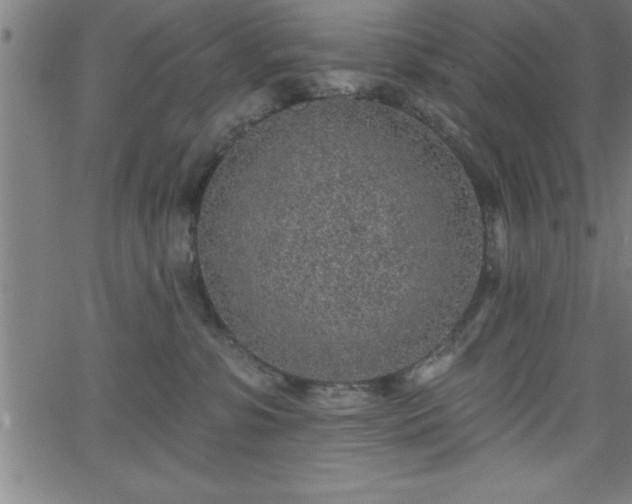 X0000065970331200603061155