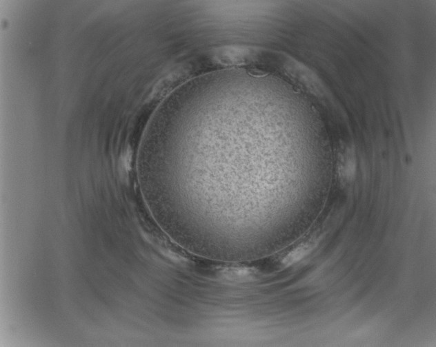 X0000065970332200603061155