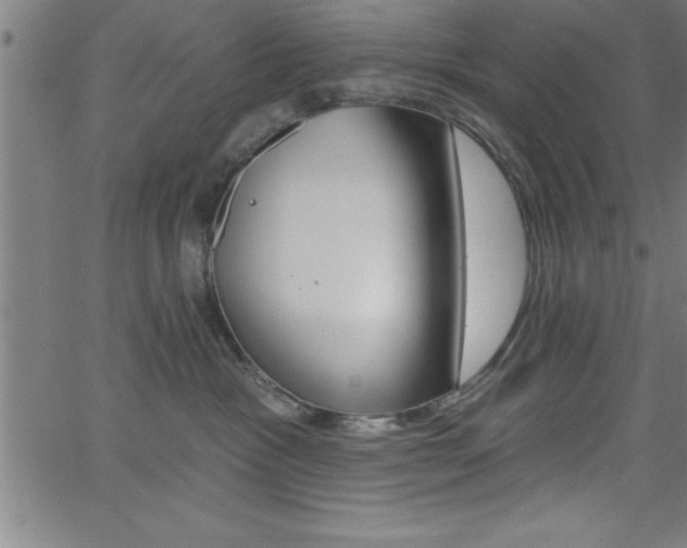 X0000065970333200603061155