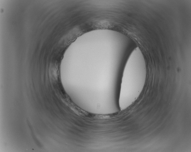 X0000065970334200603061155