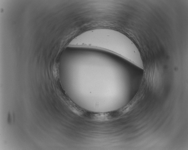 X0000065970335200603061155