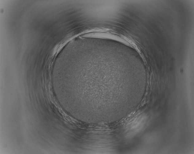 X0000065970337200603061155