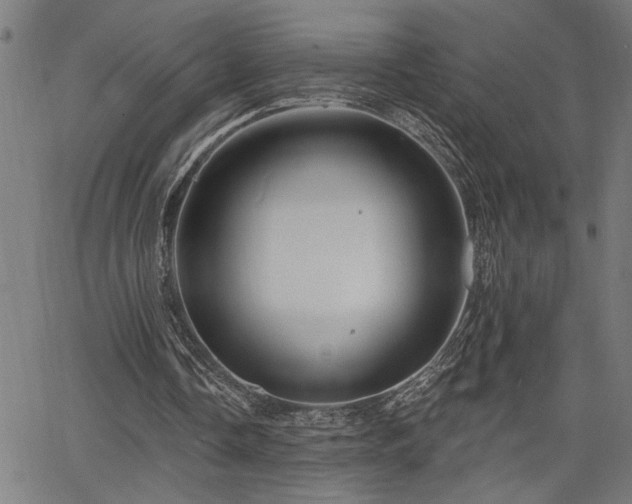 X0000065970338200603061155