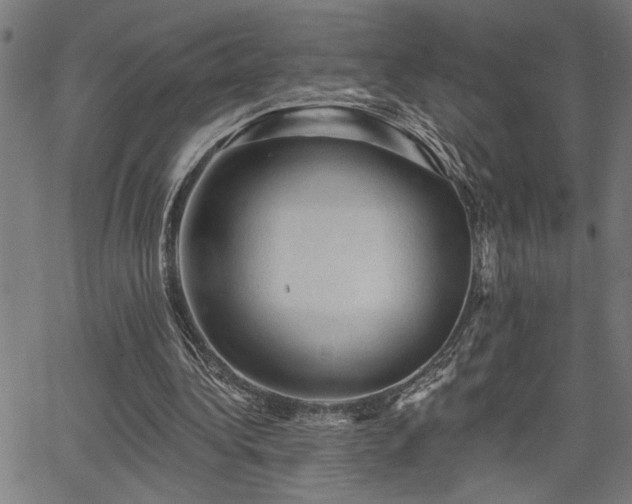 X0000065970340200603061155