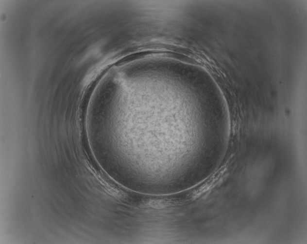 X0000065970341200603061155