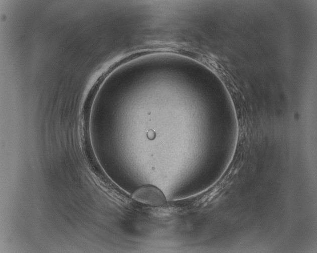 X0000065970342200603061155