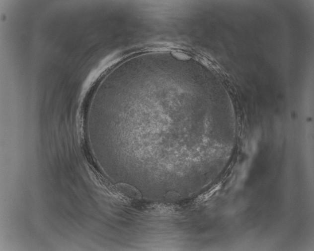 X0000065970343200603061155