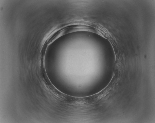 X0000065970344200603061155