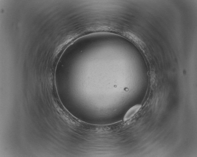 X0000065970345200603061155