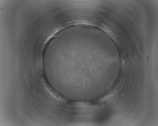 X0000065970347200603061155