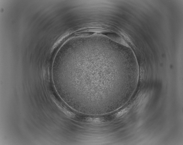 X0000065970349200603061155