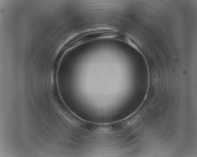 X0000065970350200603061155