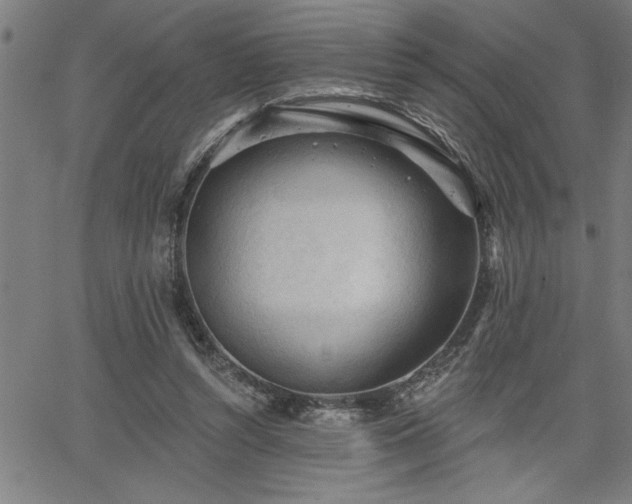 X0000065970352200603061155