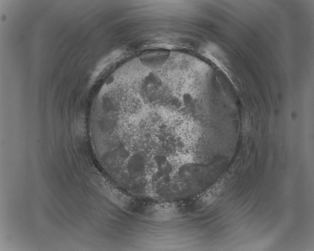 X0000065970353200603061155