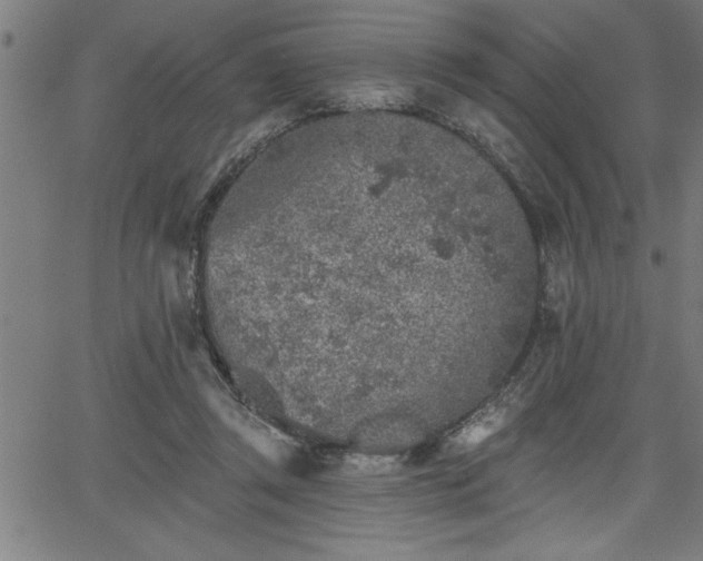 X0000065970357200603061155