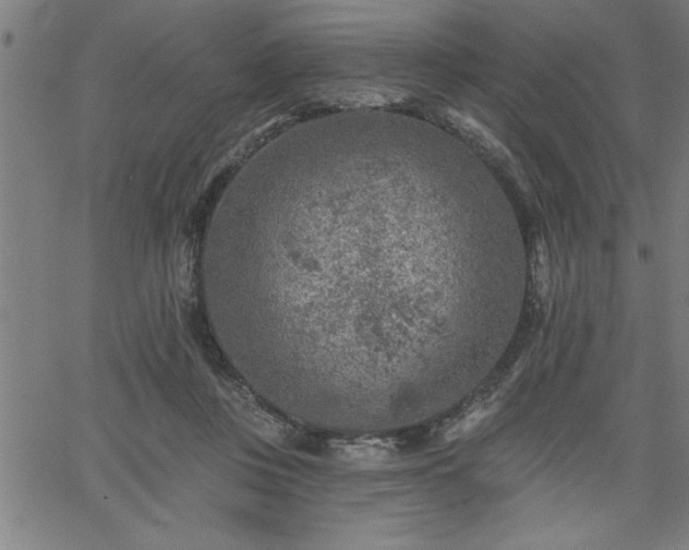 X0000065970359200603061155