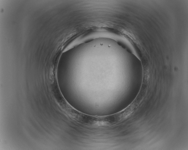 X0000065970360200603061155