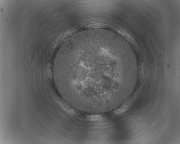 X0000065970361200603061155