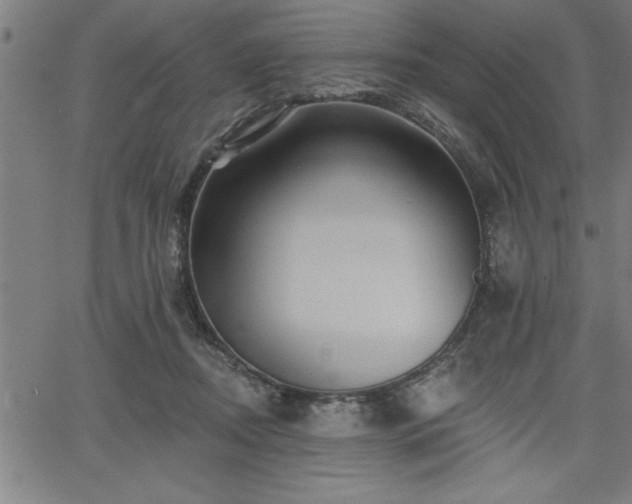 X0000065970362200603061155