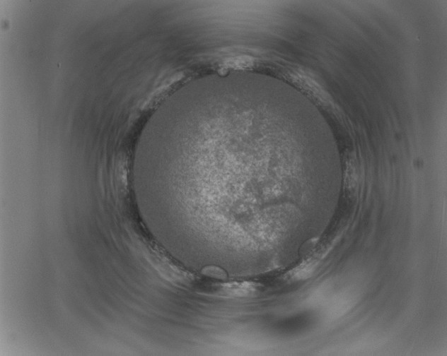 X0000065970363200603061155