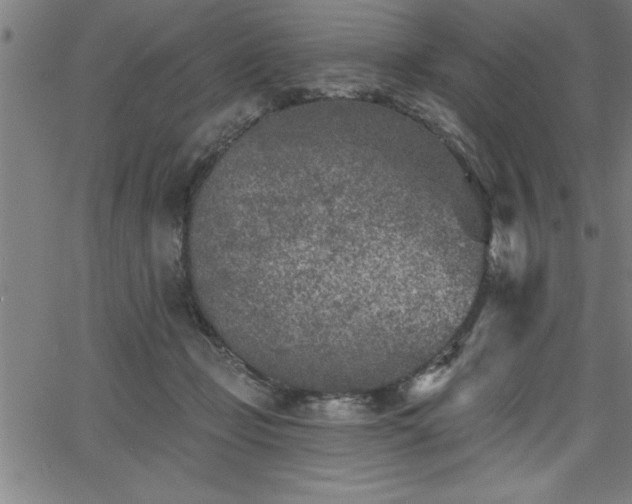 X0000065970365200603061155